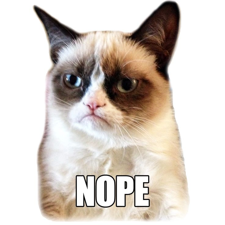 Cat nope